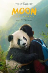 Moon The Panda