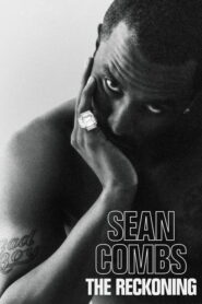 Sean Combs: The Reckoning: Season 1